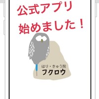 画像272