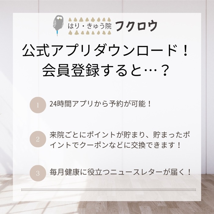 画像273