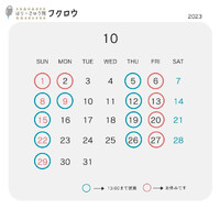 画像275
