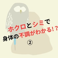 画像288