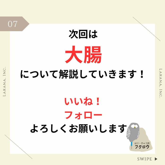 画像295