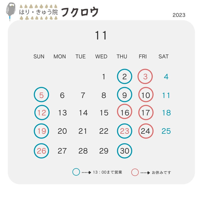 画像299