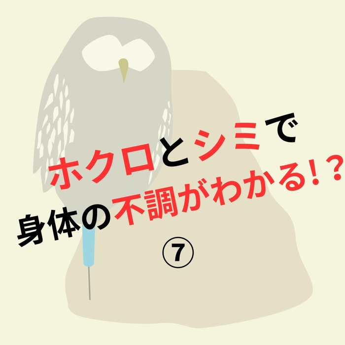 画像363