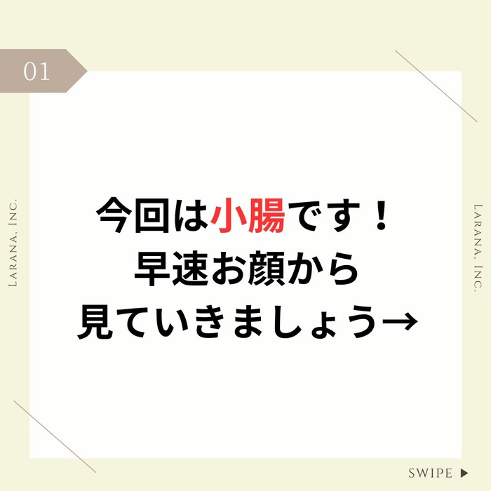 画像364
