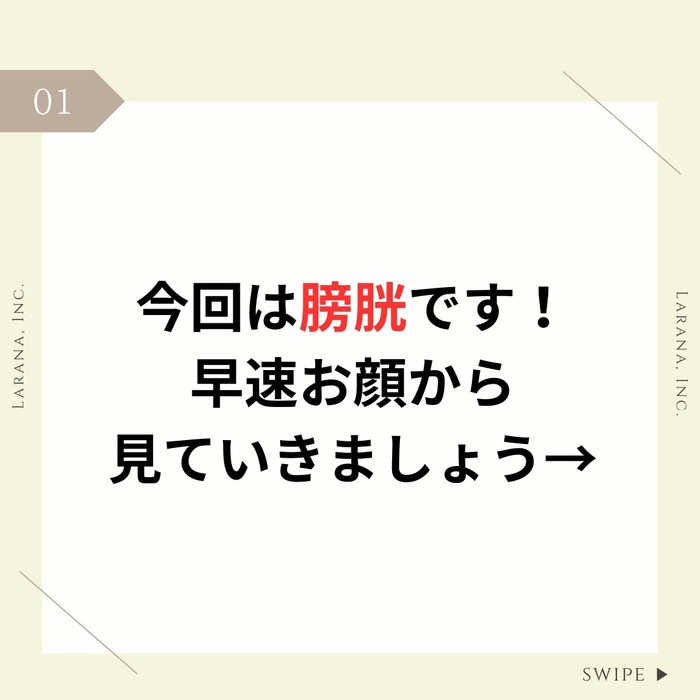 画像374