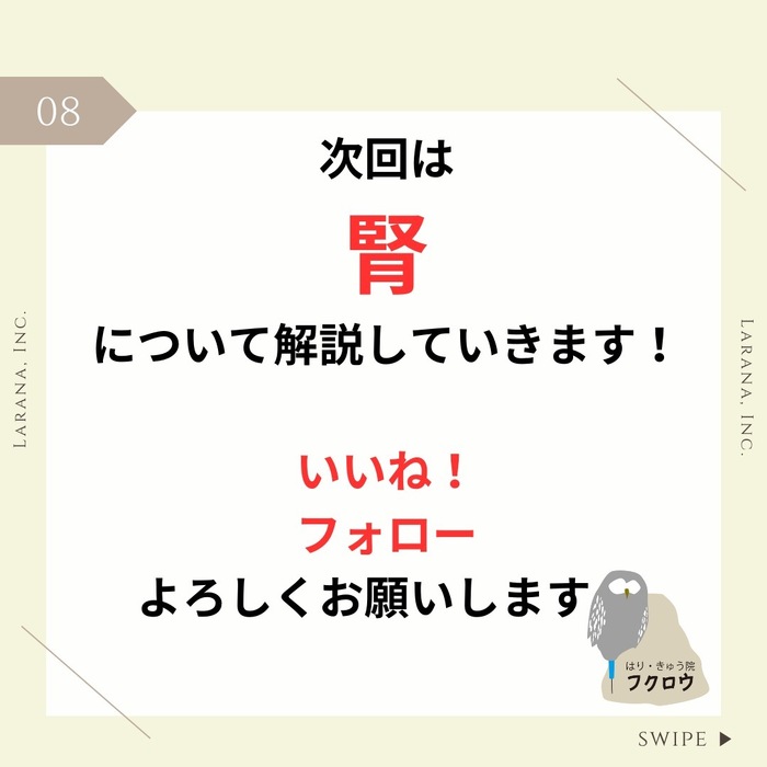 画像381