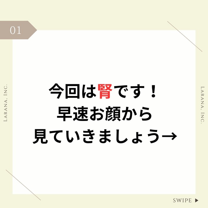 画像388