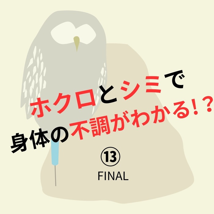 画像441