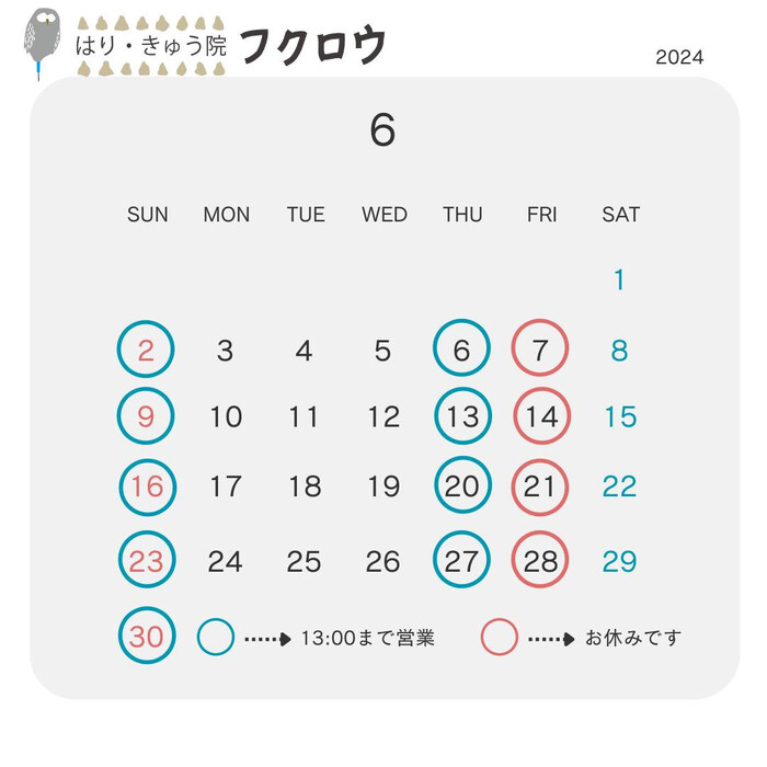 画像496