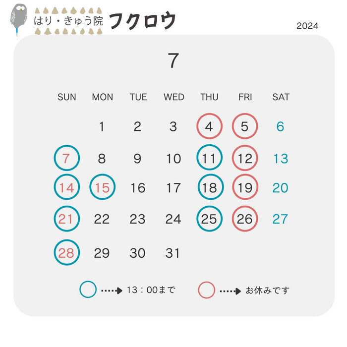 画像498