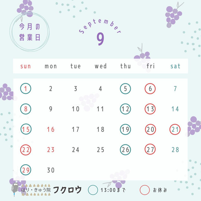 画像518