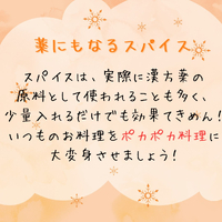 画像529