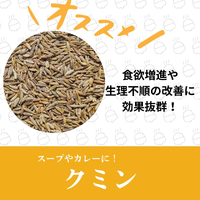 画像531