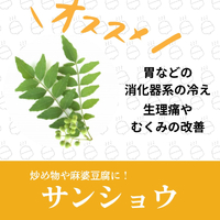 画像532