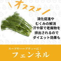 画像535