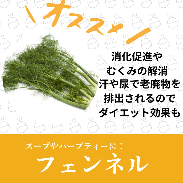 画像535