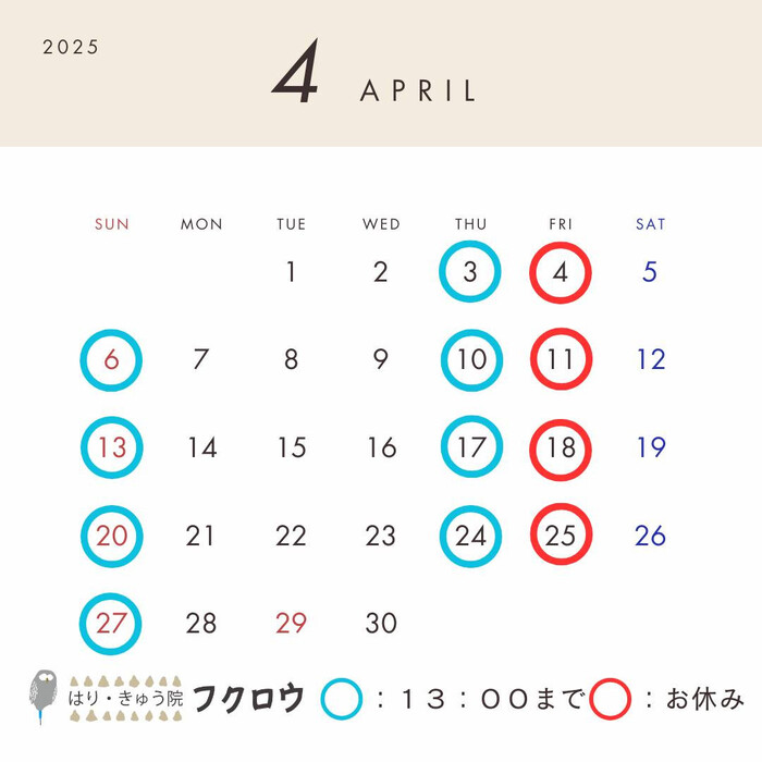 画像554