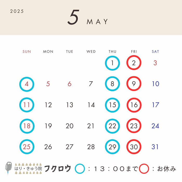 画像556