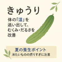 画像568
