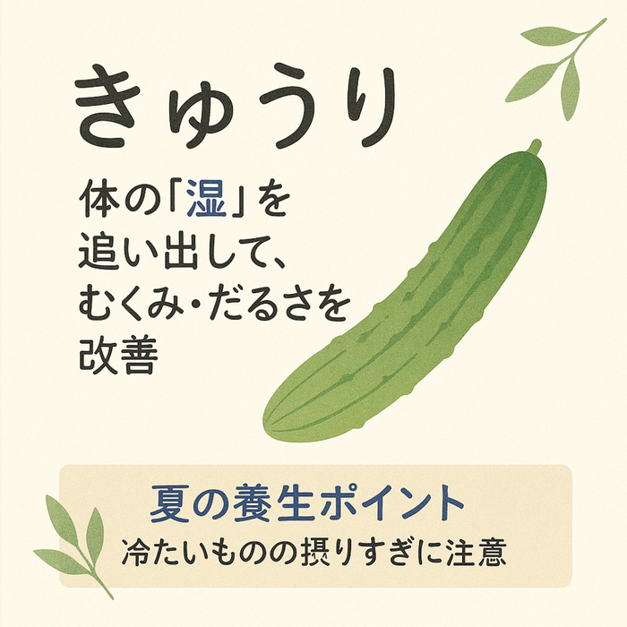 画像568