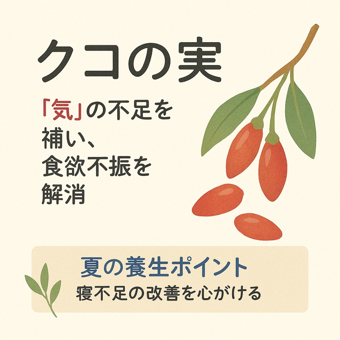 画像569