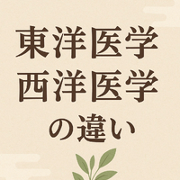 画像575