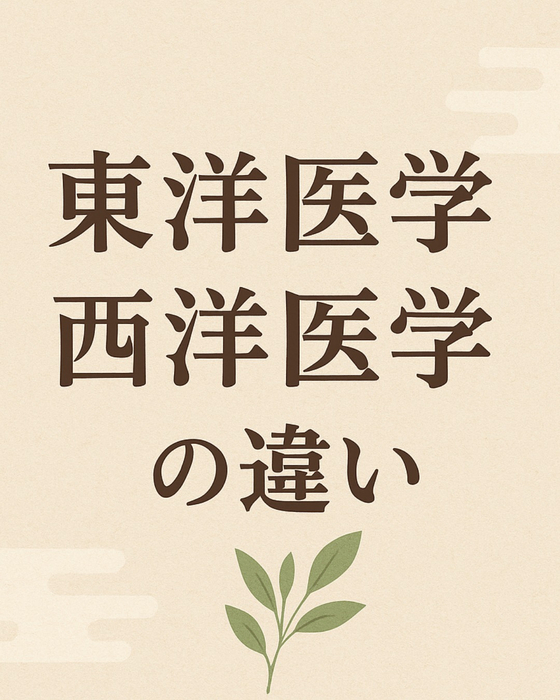 画像575