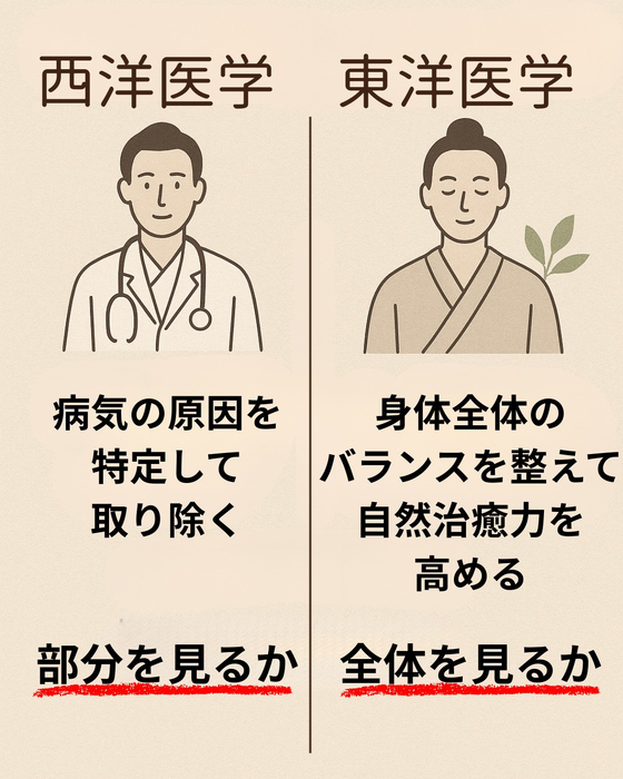 画像576