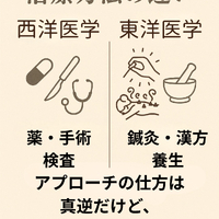 画像577