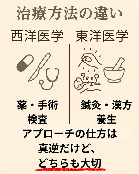 画像577