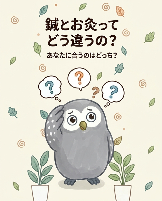 画像619