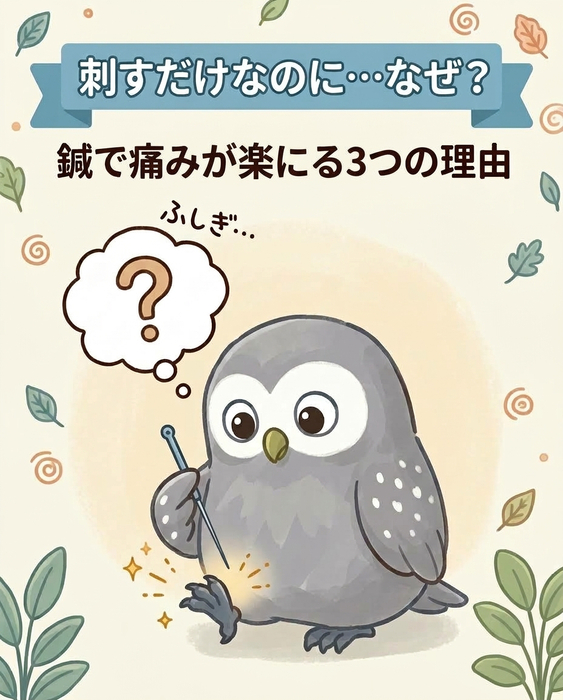 画像624