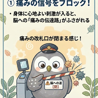 画像625