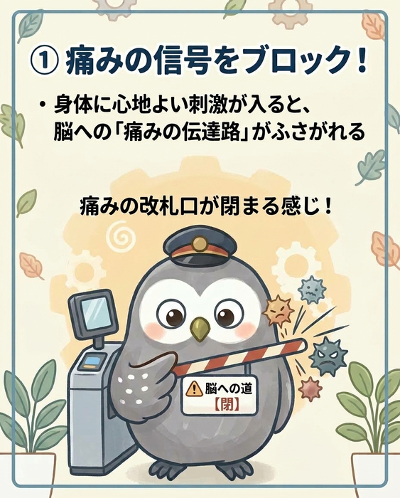 画像625