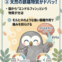 画像626