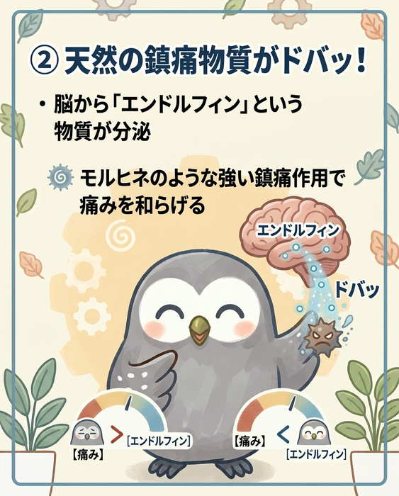 画像626
