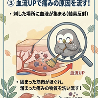 画像627