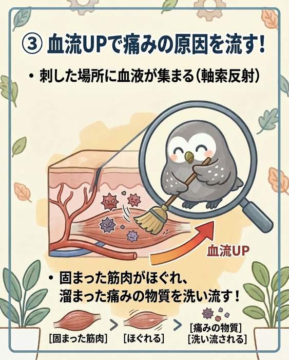 画像627