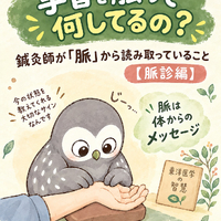 画像636
