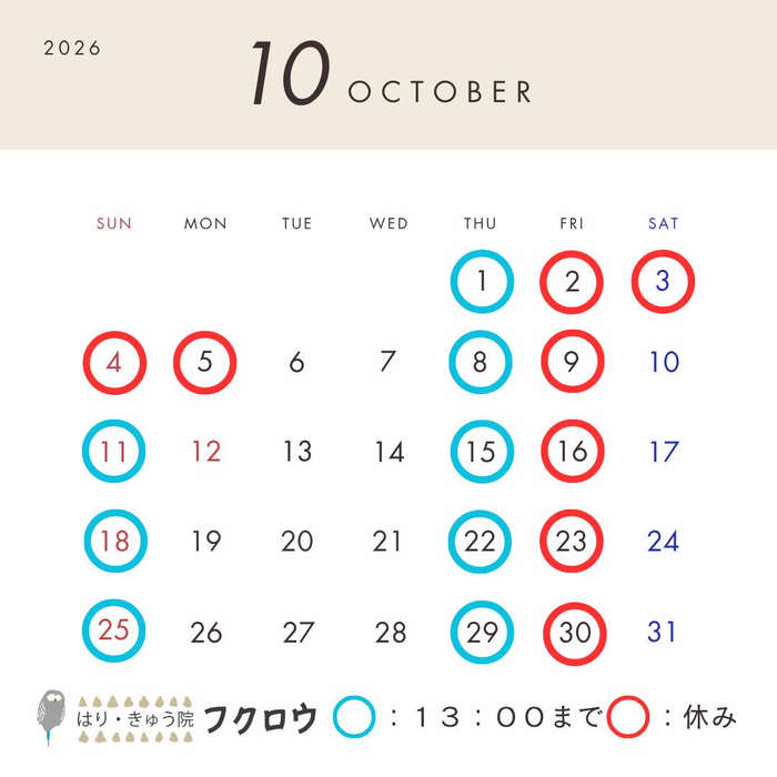 画像641