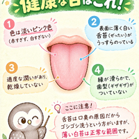 画像647